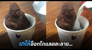 กอริลลา