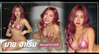 มาย ฮาเร็ม