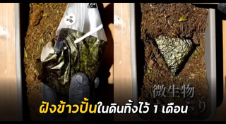 การทดลอง