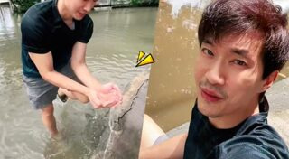 ไผ่ พาทิศ