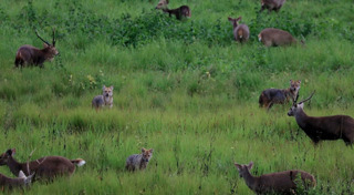 ที่เที่ยวชัยภูมิ