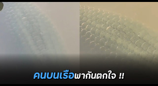 ปลาช่อน