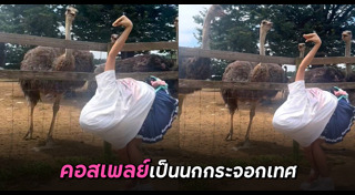 นกกระจอกเทศ