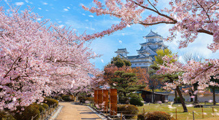 เที่ยวญี่ปุ่น