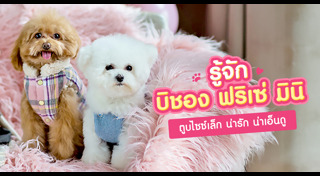 พันธุ์สุนัข