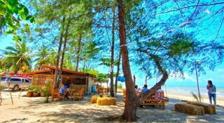 ร้านอาหารสุราษฎร์ธานี