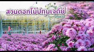 ที่เที่ยวปทุมธานี