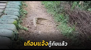ตัวเงินตัวทอง