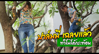 กระท้อน