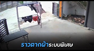 ฝนตก