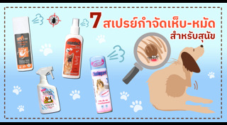 วิธีกำจัดเห็บ