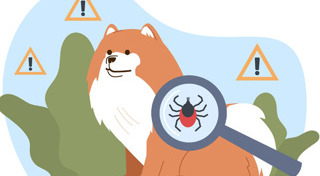 เห็บหมัด