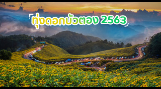 เส้นทางดอกไม้