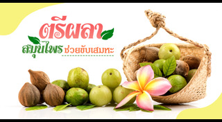 วิธีเสริมภูมิคุ้มกัน