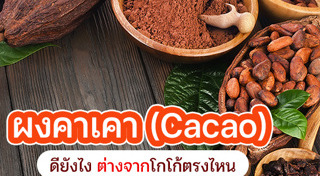 ซูเปอร์ฟู้ด