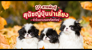 พันธุ์สุนัข