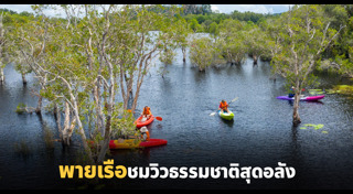 เที่ยวระยอง