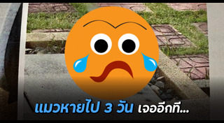 สัตว์ผสมพันธุ์