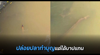 ปลาไหล