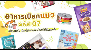 แมว