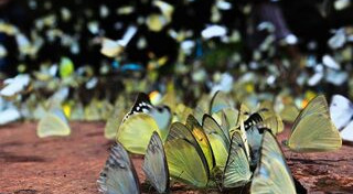 ที่เที่ยวสระแก้ว