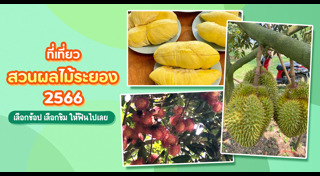 สวนผลไม้ระยอง