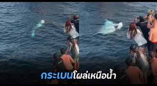 ปลากระเบน