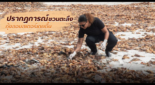 แอฟริกาใต้