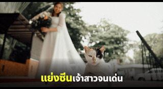 ถ่ายรูปแต่งงาน