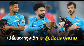 สุนัขถูกทิ้ง