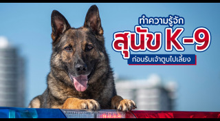 สุนัขตำรวจ