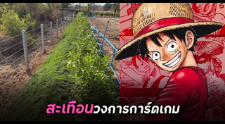 เรื่องแปลกไทย