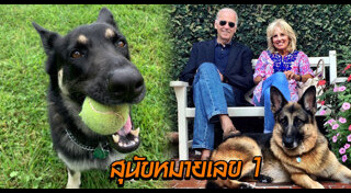 โจ ไบเดน