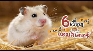 สัตว์เลี้ยง