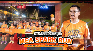 การไฟฟ้านครหลวง