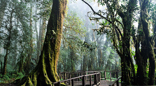 ฮ.ตกดอยอินทนนท์