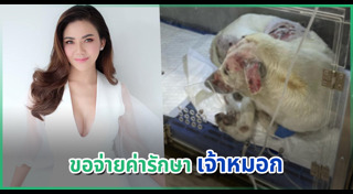 ท่อระเบิด