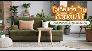 ไอเดียแต่งบ้าน