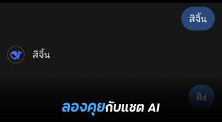 โปรแกรมแชต