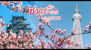 ซากุระญี่ปุ่น