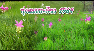 เที่ยวชัยภูมิ