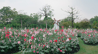 ที่เที่ยวกรุงเทพฯ