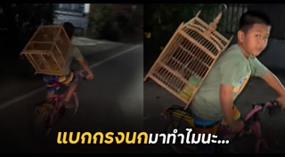 ปั่นจักรยาน