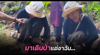 เดินป่า