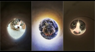 รูปหมาตลกๆ