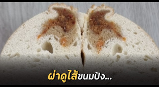 หมูหย็อง