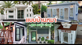 บ้านหมา