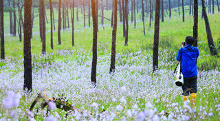 ที่เที่ยวหน้าฝน