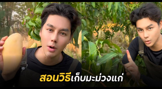 เพ็ชร ฐกฤต