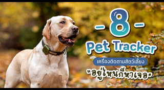 ของใช้สุนัข